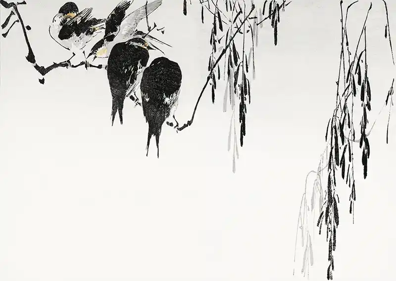 Perched magpies